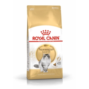 Royal-Canin-Feline-Norwegian-Forest-Cat