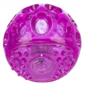 Bild 1 von Trixie Blink-Ball aus TPR